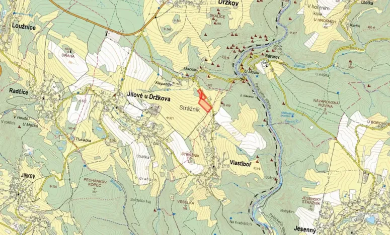 Prodej louky, Jílové u Držkova, 5847 m2