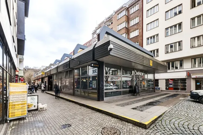 Pronájem bytu 1+kk, Praha - Karlín, U Mlýnského kanálu, 37 m2