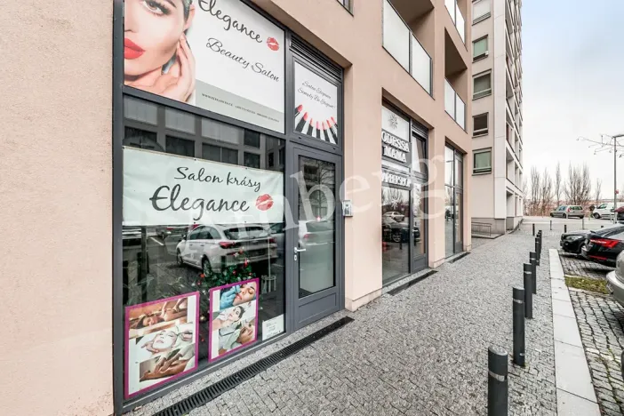 Pronájem bytu 1+kk, Praha - Karlín, U Mlýnského kanálu, 37 m2