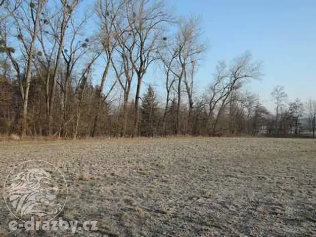 Dražba pole, Semanín, 9293 m2