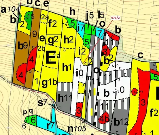 Dražba lesa, Záhoří, 5170 m2
