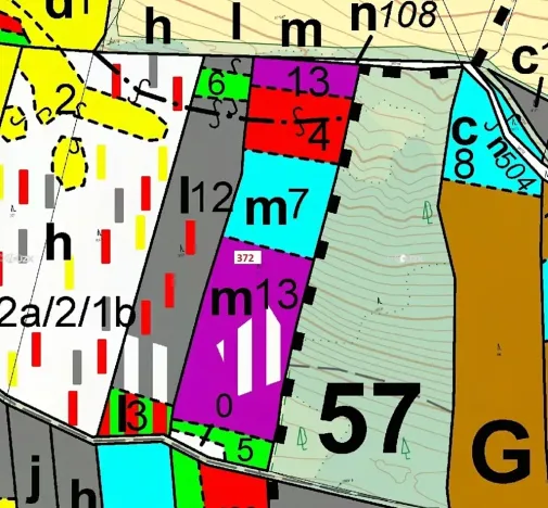 Dražba lesa, Záhoří, 16547 m2
