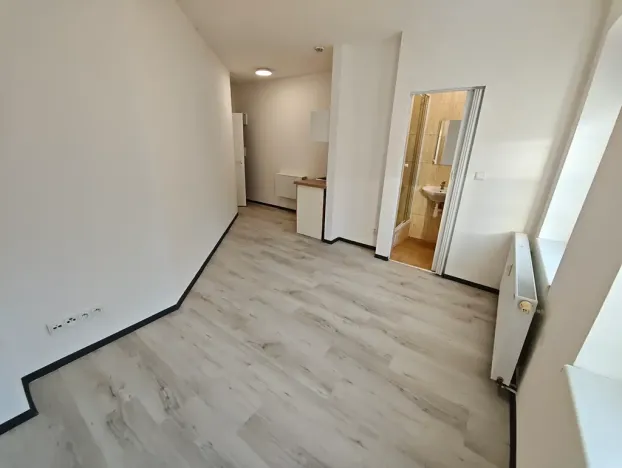 Pronájem bytu 1+kk, Praha - Hlubočepy, Na Zlíchově, 17 m2
