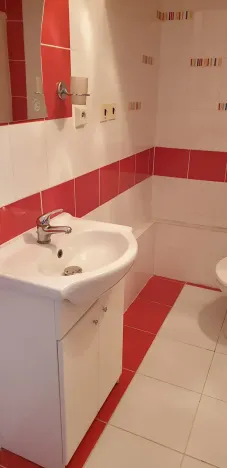 Pronájem bytu 1+1, Teplice, Javorová, 45 m2