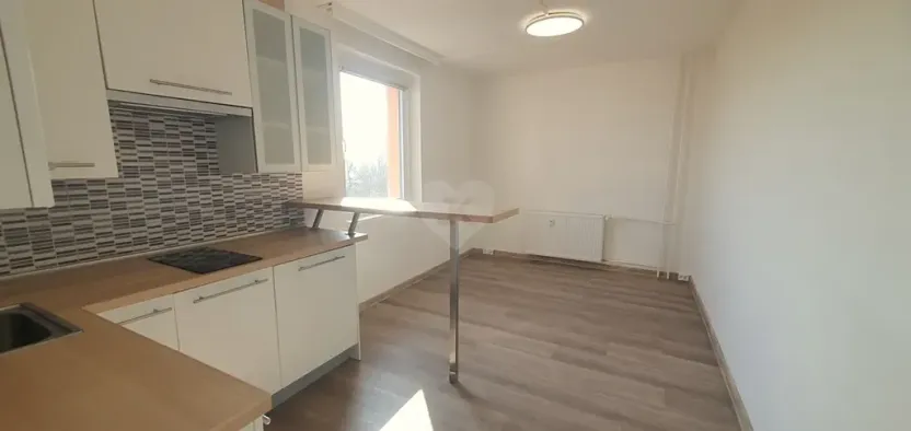 Pronájem bytu 1+kk, Praha - Černý Most, Bryksova, 19 m2