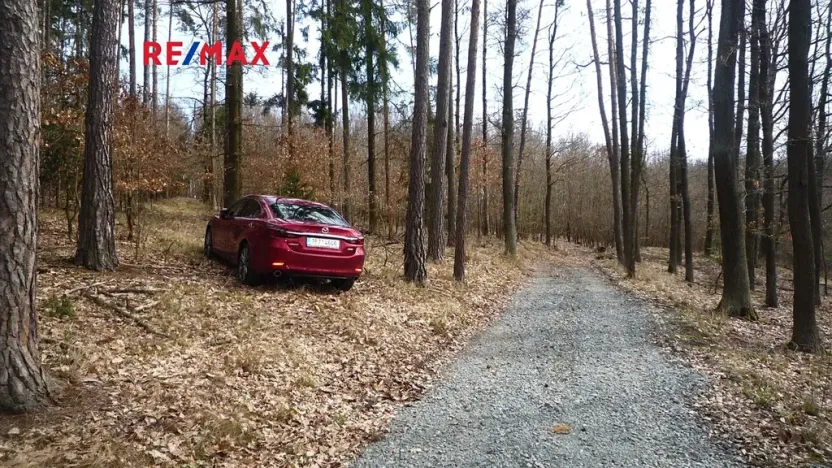 Prodej chaty, Plasy, 50 m2