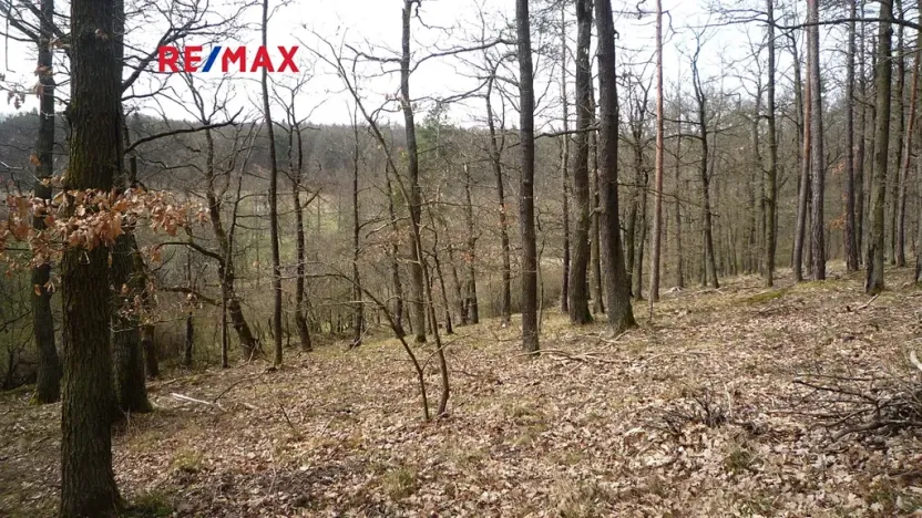 Prodej chaty, Plasy, 50 m2