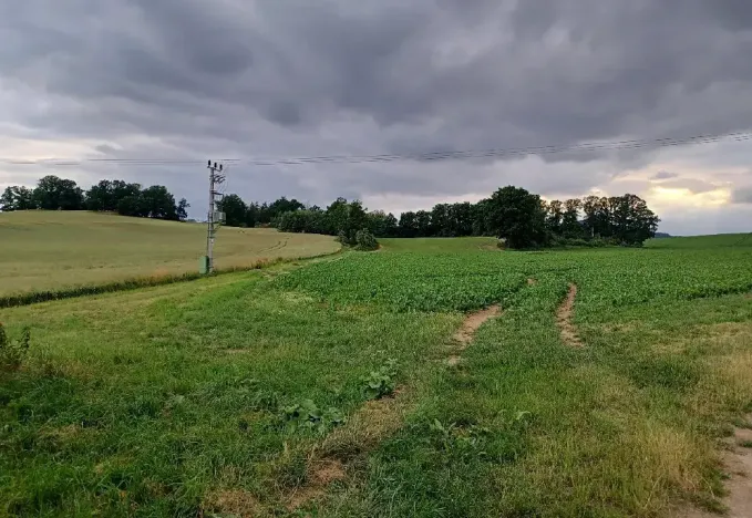 Dražba pozemku, Okna, 5544 m2