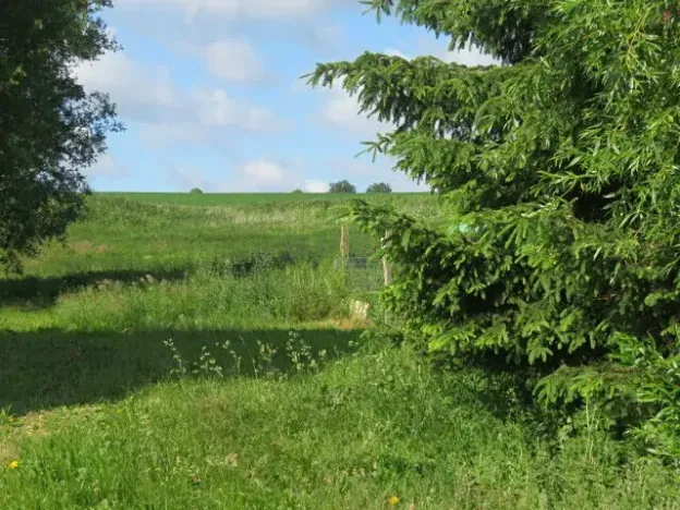 Dražba zahrady, Otročín, 265 m2