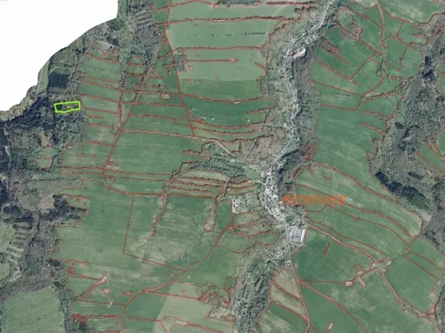 Dražba louky, Petrovice, 14239 m2