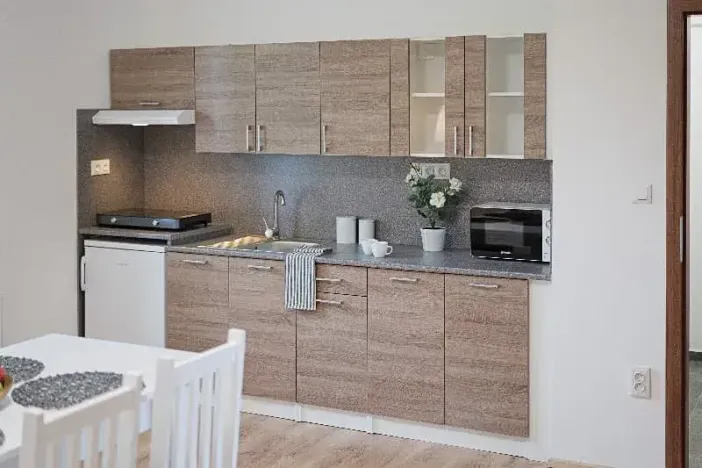 Pronájem - jiné, Ostrava, Riegrova, 300 m2