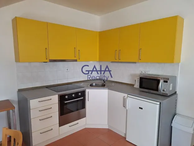 Pronájem bytu 1+kk, Prostějov, Krasická, 46 m2