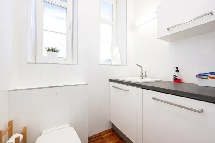 Pronájem bytu 3+1, Brno, Botanická, 114 m2