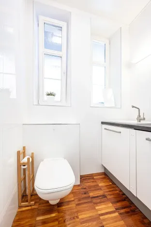 Pronájem bytu 3+1, Brno, Botanická, 114 m2