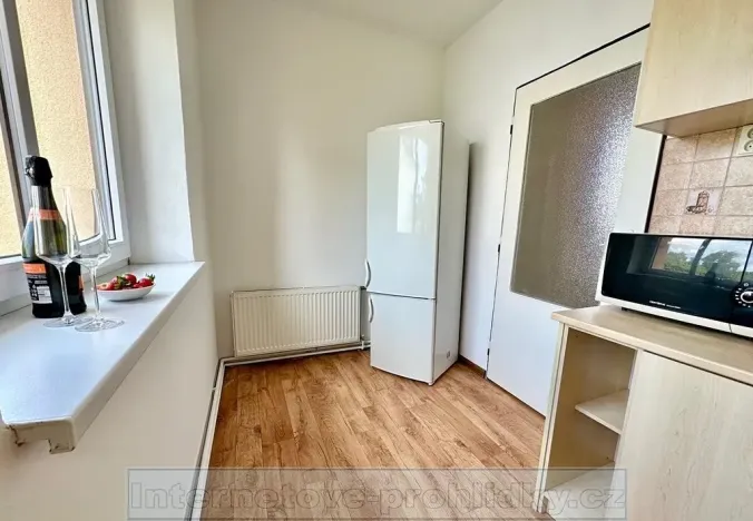 Pronájem bytu 1+1, Praha - Žižkov, U kněžské louky, 70 m2