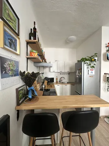 Pronájem bytu 2+kk, České Budějovice, Rudolfovská tř., 34 m2