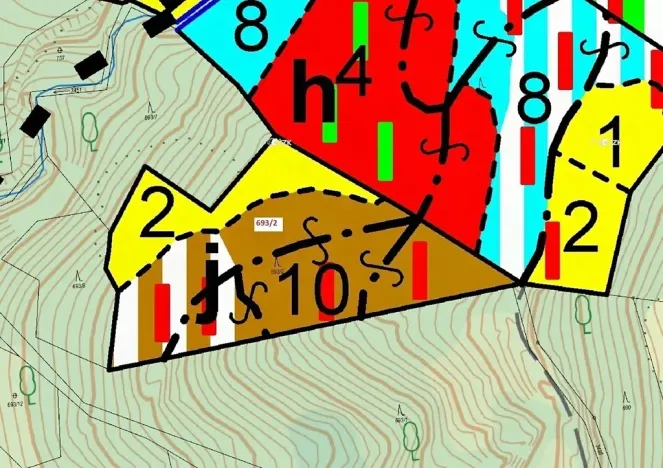 Dražba lesa, Lačnov, 7364 m2