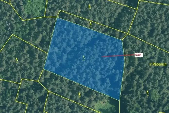 Dražba lesa, Kuřimany, 8912 m2