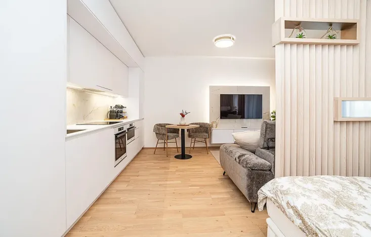 Pronájem bytu 1+kk, Praha - Hodkovičky, Šenácká, 60 m2