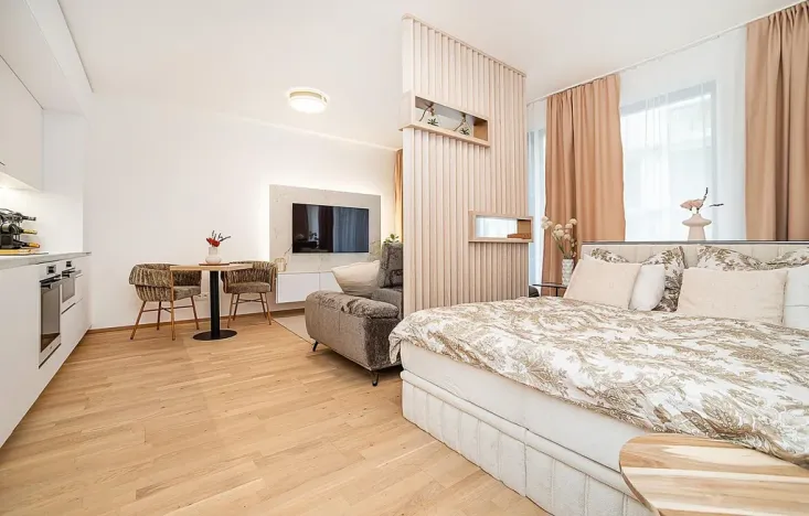 Pronájem bytu 1+kk, Praha - Hodkovičky, Šenácká, 60 m2