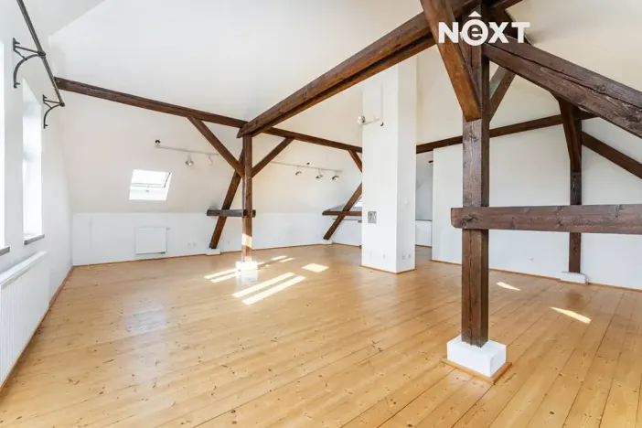 Prodej rodinného domu, Březno, 380 m2