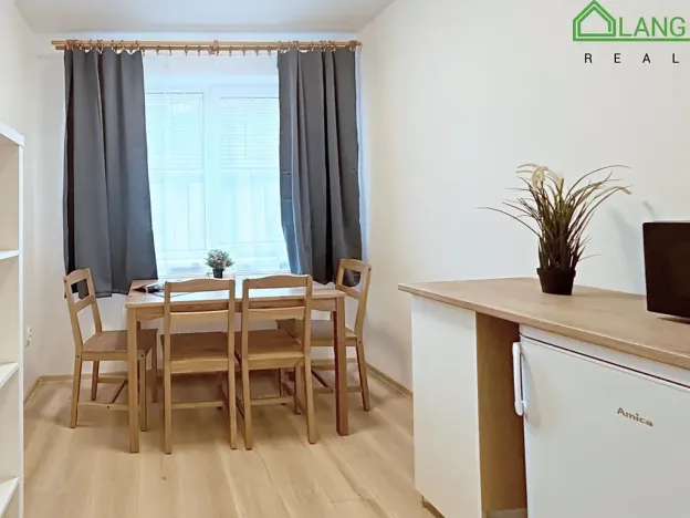 Pronájem bytu 1+kk, Brno, Francouzská, 25 m2