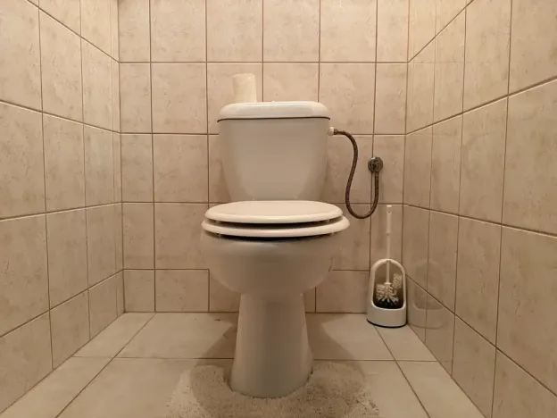 Pronájem bytu 2+1, Kokory, 64 m2