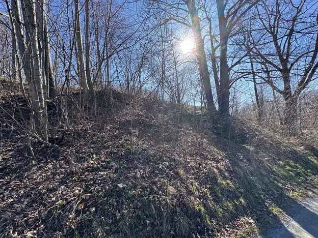 Prodej pozemku pro bydlení, Zlaté Hory, U Sv. Rocha, 5589 m2