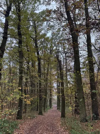 Prodej pozemku, Praha, 14747 m2