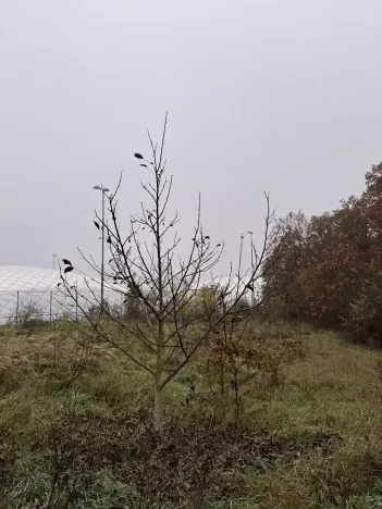 Prodej pozemku, Praha, 14747 m2