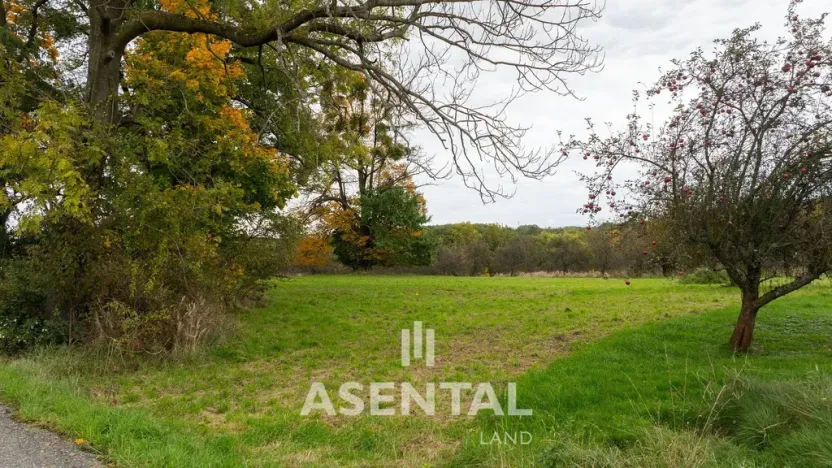 Prodej pozemku, Orlová - Lazy, V Zimném dole, 3287 m2