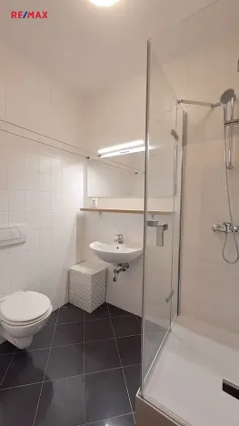 Pronájem bytu 1+kk, Praha - Podolí, Na hřebenech I, 34 m2