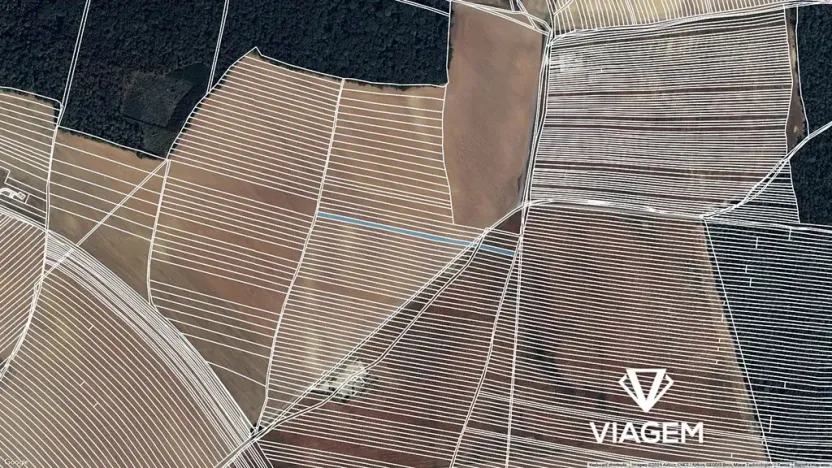 Prodej pole, Dolní Bojanovice, 3004 m2