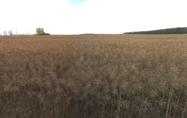 Prodej pole, Liběchov, 18625 m2