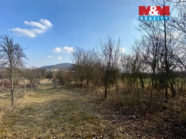 Prodej zahrady, Drásov, 2564 m2