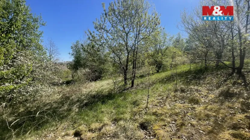 Prodej pozemku pro bydlení, Blatná - Čekanice, 3556 m2