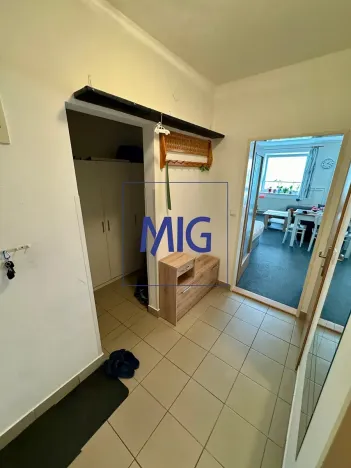 Pronájem bytu 1+kk, Brno, Tomečkova, 44 m2