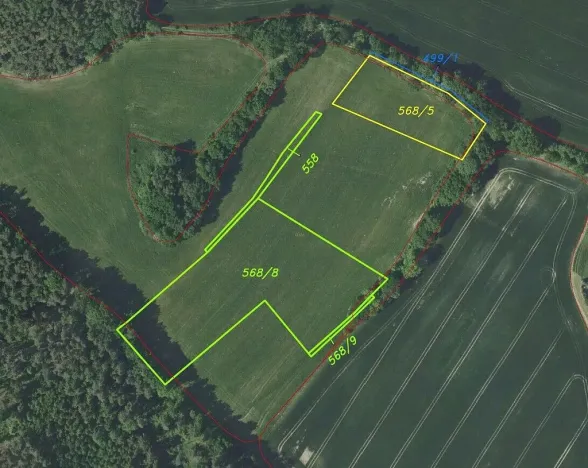 Prodej pole, Zvěstov, 51947 m2