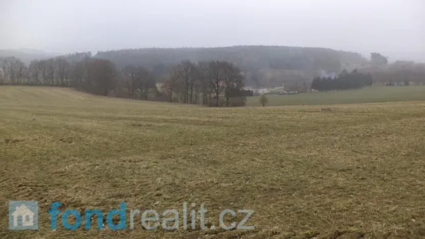 Prodej pole, Zvěstov, 51947 m2