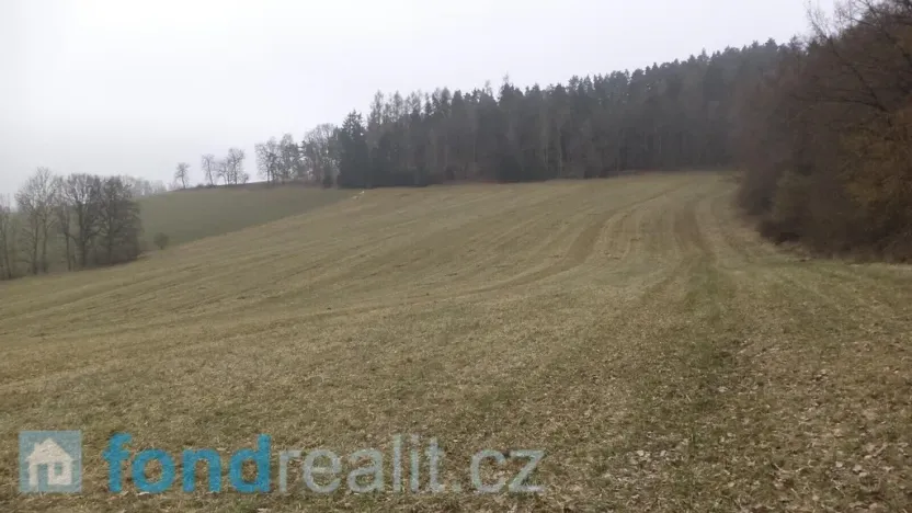 Prodej pole, Zvěstov, 51947 m2