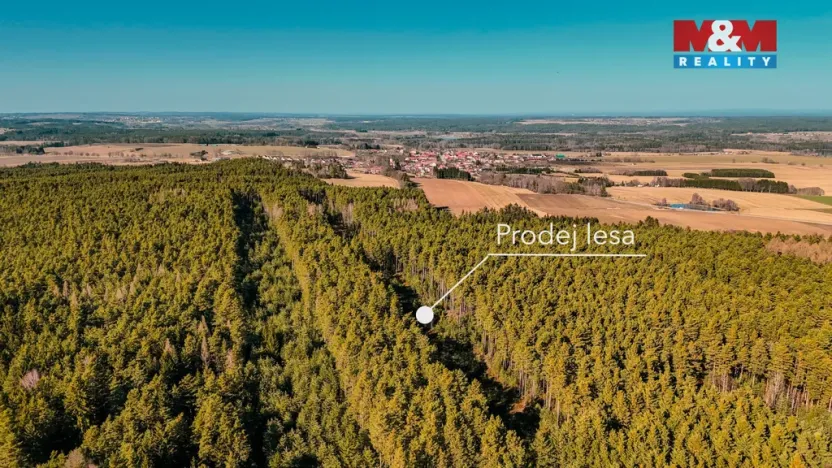 Prodej lesa, Olešnice, 18382 m2