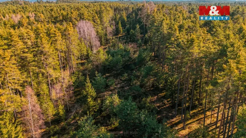 Prodej lesa, Olešnice, 18382 m2