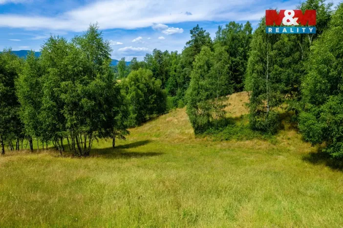 Prodej pozemku, Dlouhý Most, 8531 m2