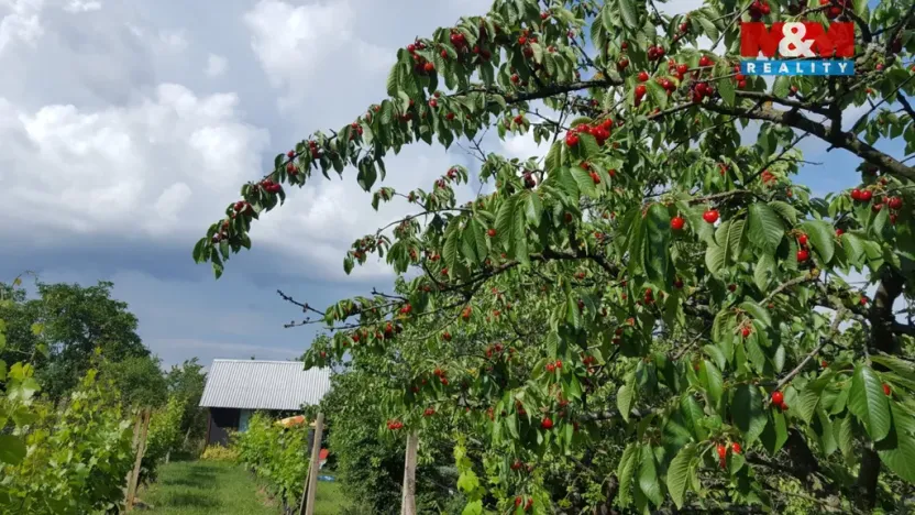 Prodej zahrady, Nový Šaldorf-Sedlešovice - Nový Šaldorf, 898 m2