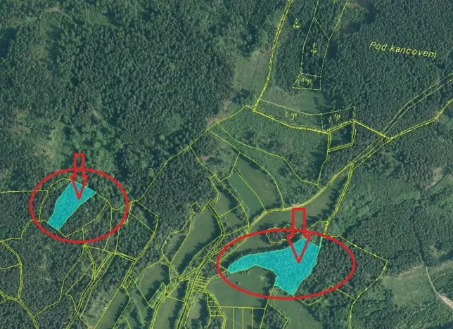 Prodej podílu lesa, Vlachovo Březí, 2714 m2