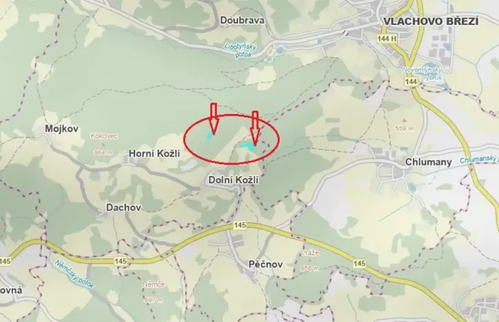 Prodej podílu lesa, Vlachovo Březí, 2714 m2