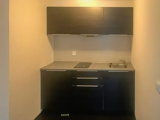 Pronájem bytu 1+kk, Brno, Hlinky, 44 m2