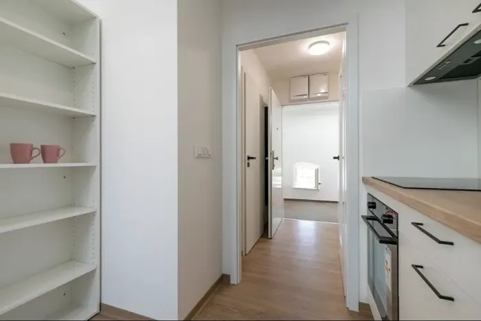 Pronájem bytu 1+kk, Brno, Poštovská, 39 m2