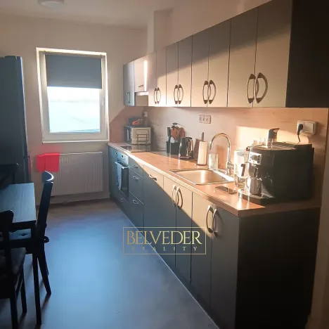 Pronájem bytu 3+kk, Teplice, U Červeného kostela, 77 m2