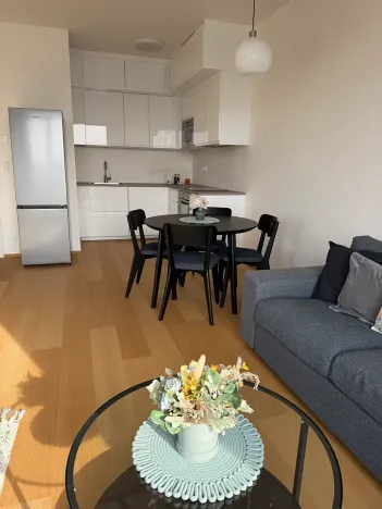 Pronájem bytu 2+kk, Praha, V třešňovce, 50 m2